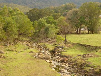 solomons_creek.JPG